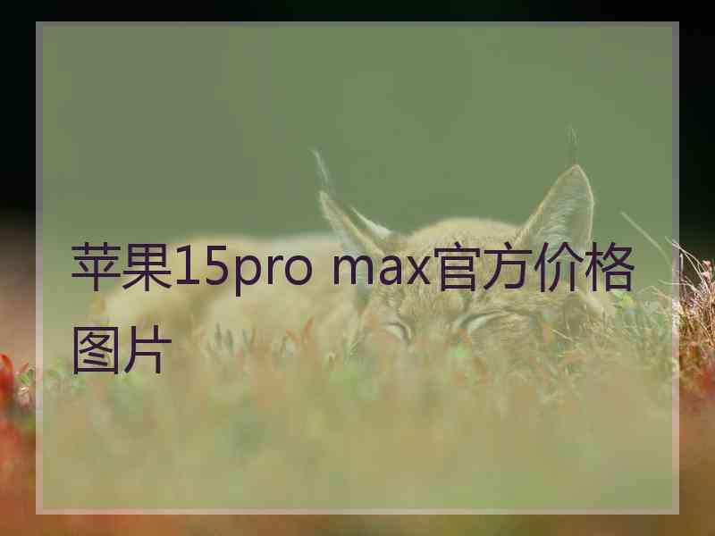 苹果15pro max官方价格图片