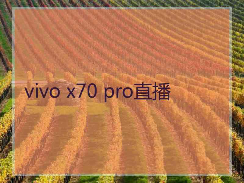 vivo x70 pro直播