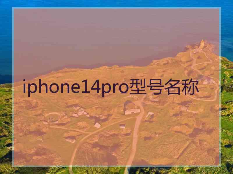 iphone14pro型号名称