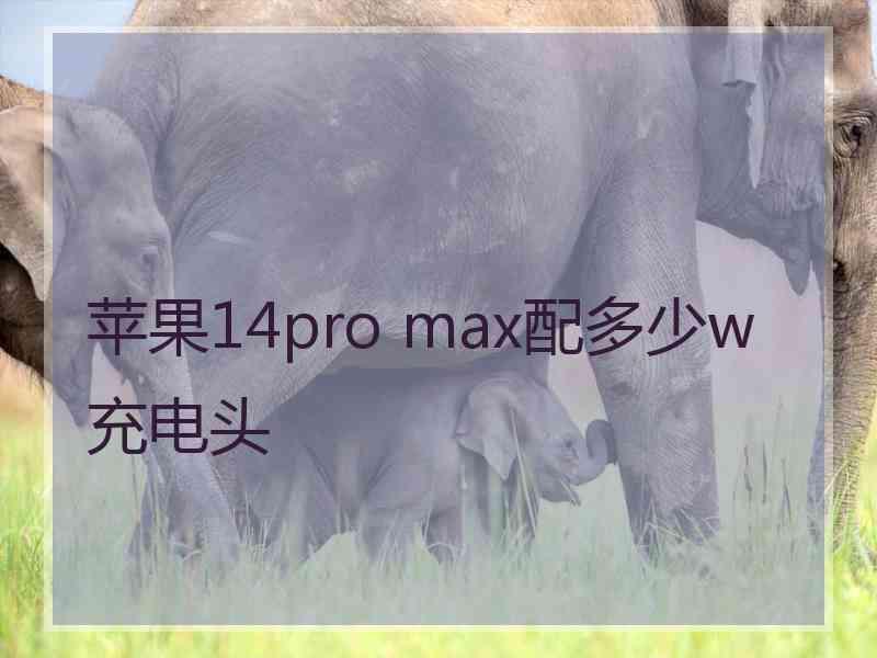 苹果14pro max配多少w充电头