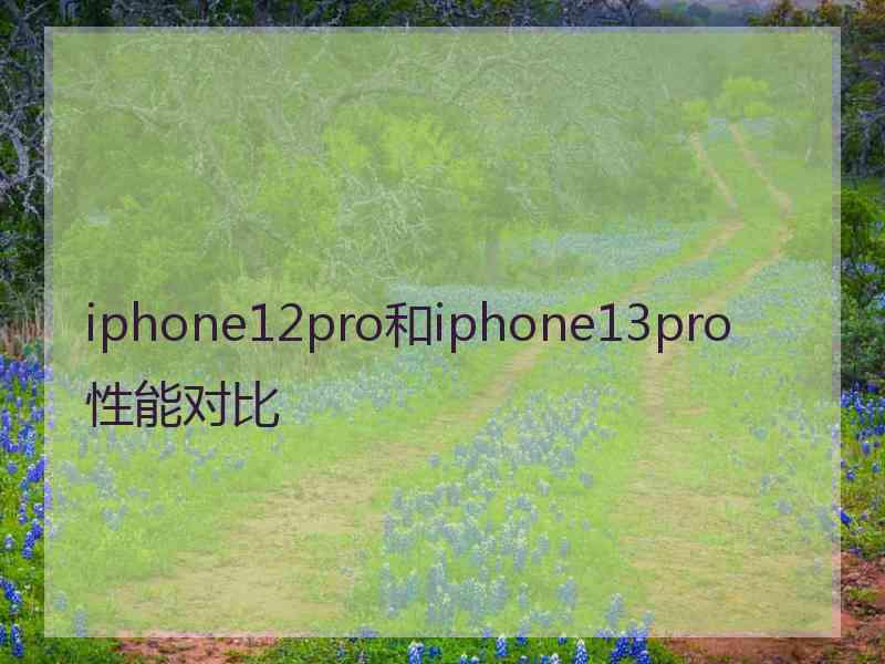 iphone12pro和iphone13pro性能对比