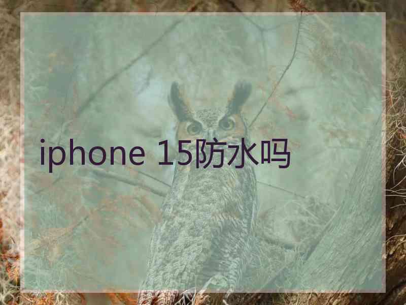 iphone 15防水吗