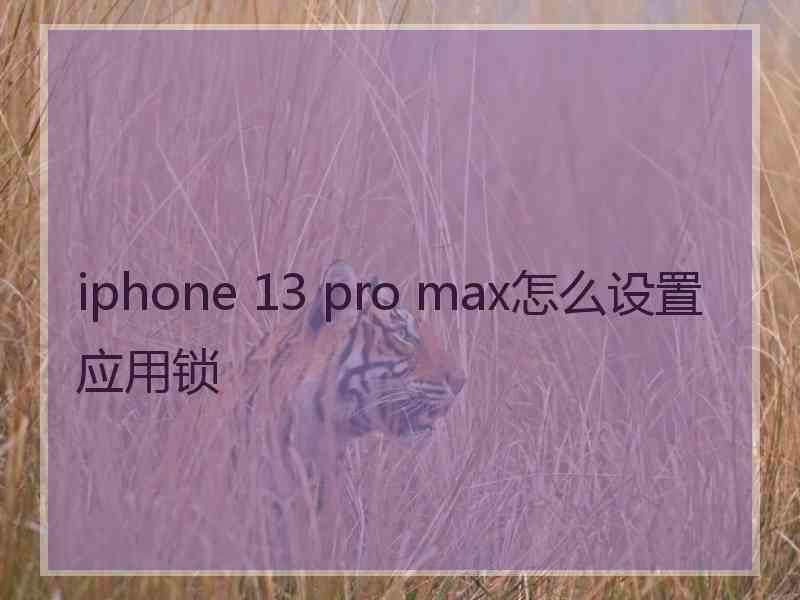 iphone 13 pro max怎么设置应用锁