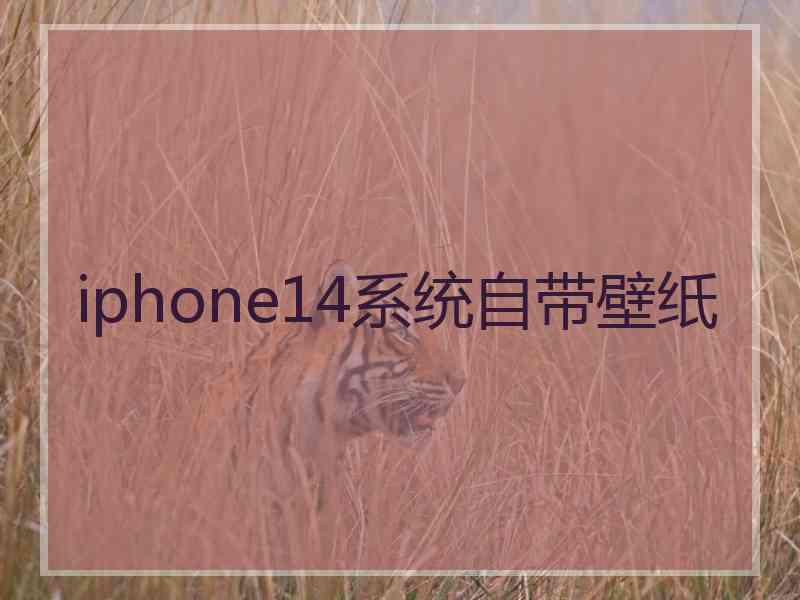 iphone14系统自带壁纸