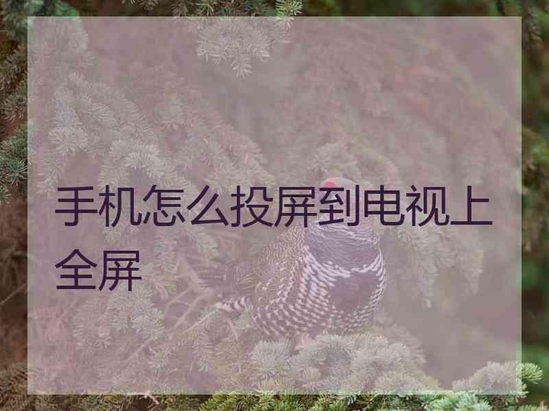 手机怎么投屏到电视上全屏