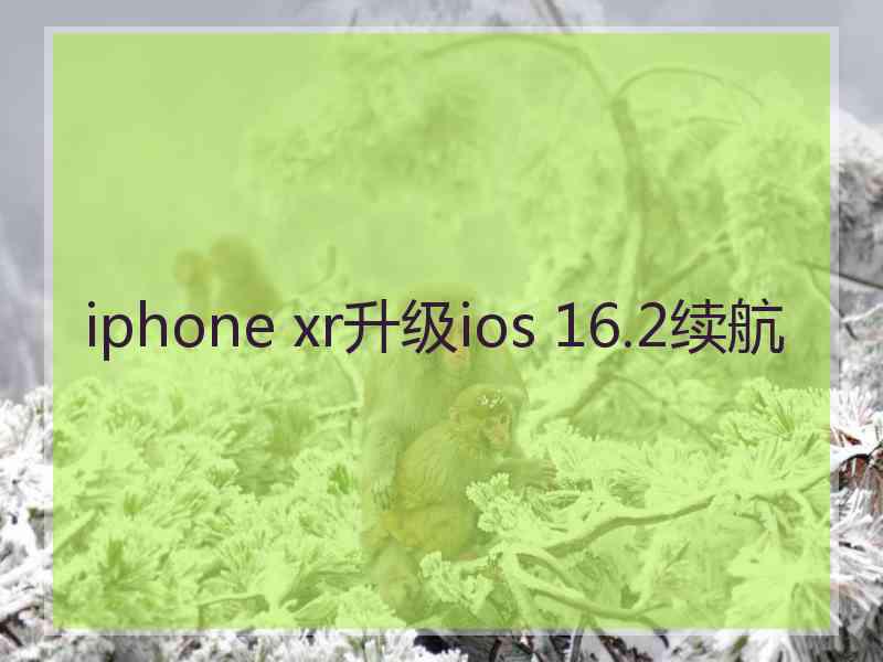 iphone xr升级ios 16.2续航