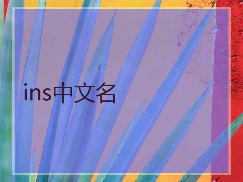 ins中文名