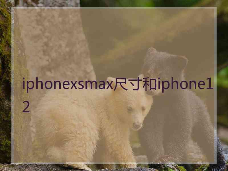 iphonexsmax尺寸和iphone12