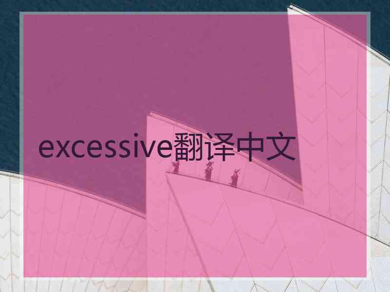 excessive翻译中文