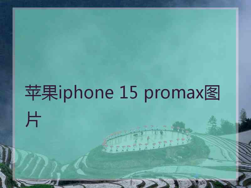 苹果iphone 15 promax图片