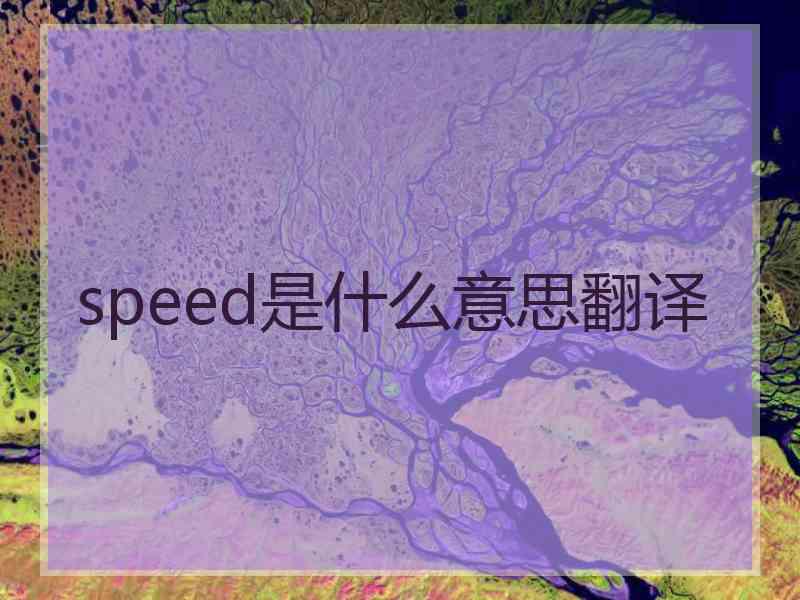 speed是什么意思翻译