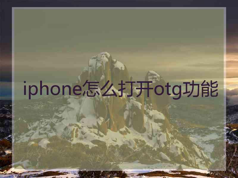 iphone怎么打开otg功能