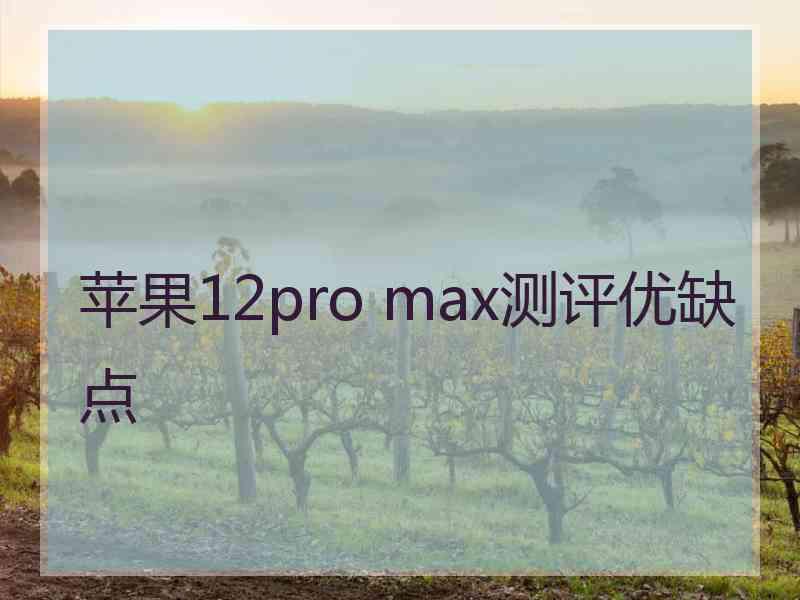 苹果12pro max测评优缺点