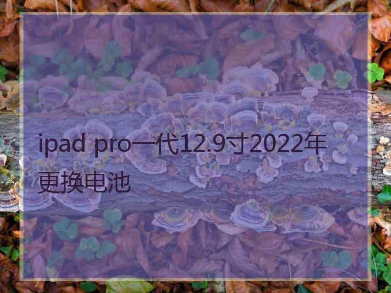 ipad pro一代12.9寸2022年更换电池