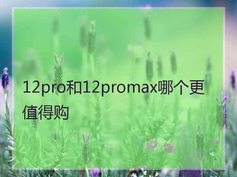 12pro和12promax哪个更值得购