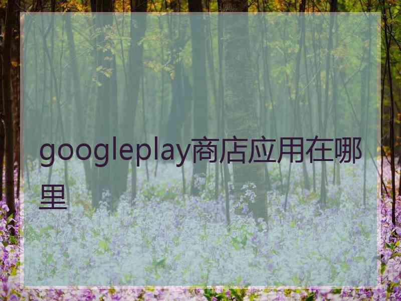 googleplay商店应用在哪里