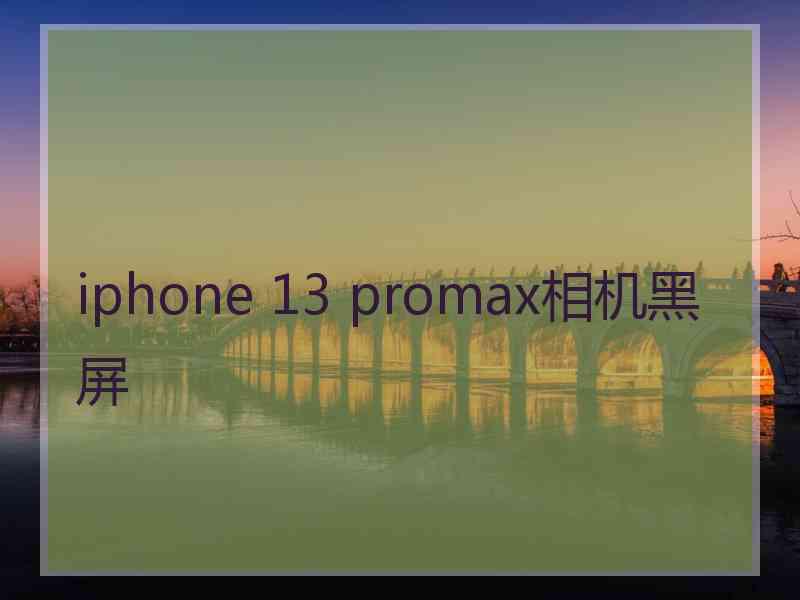 iphone 13 promax相机黑屏