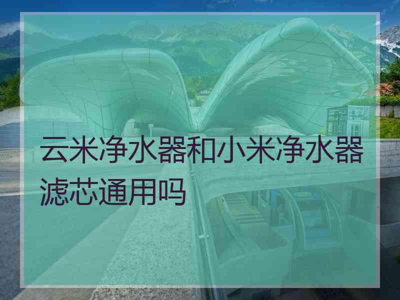 云米净水器和小米净水器滤芯通用吗