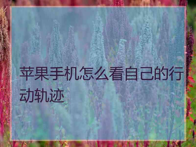 苹果手机怎么看自己的行动轨迹