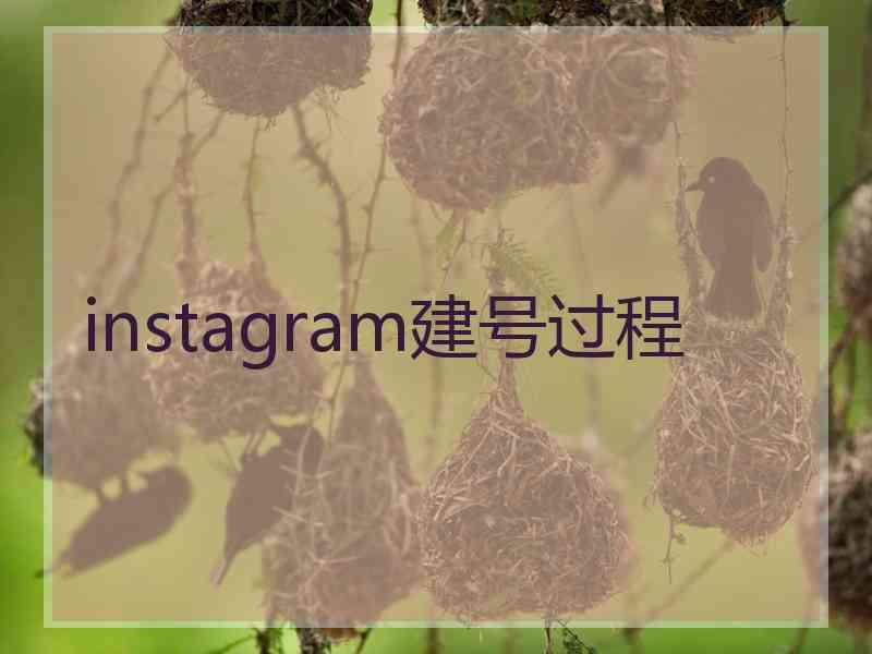 instagram建号过程