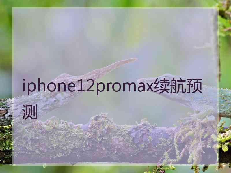 iphone12promax续航预测