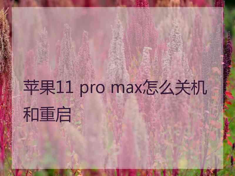 苹果11 pro max怎么关机和重启