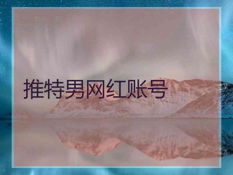 推特男网红账号