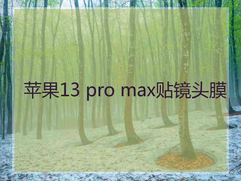 苹果13 pro max贴镜头膜