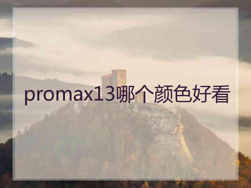 promax13哪个颜色好看