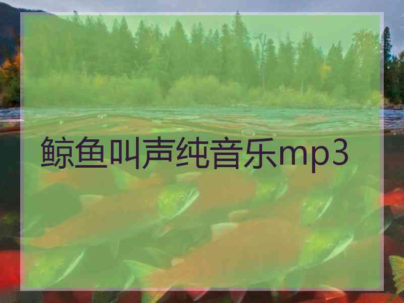 鲸鱼叫声纯音乐mp3