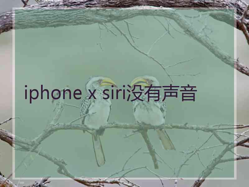 iphone x siri没有声音