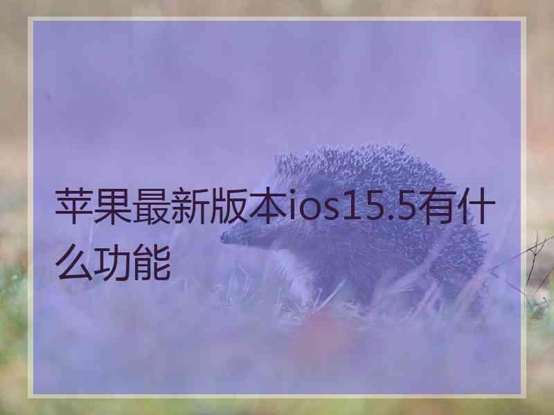 苹果最新版本ios15.5有什么功能