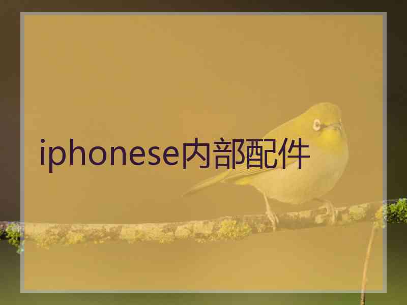 iphonese内部配件