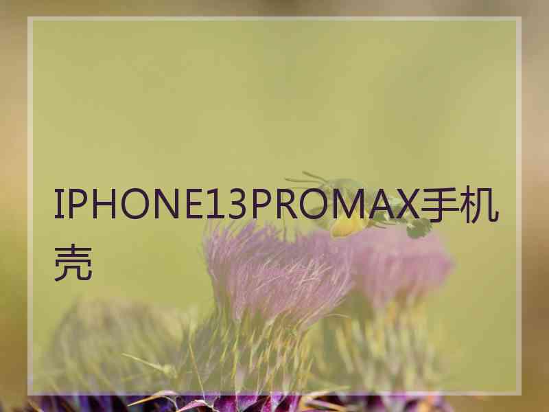 IPHONE13PROMAX手机壳