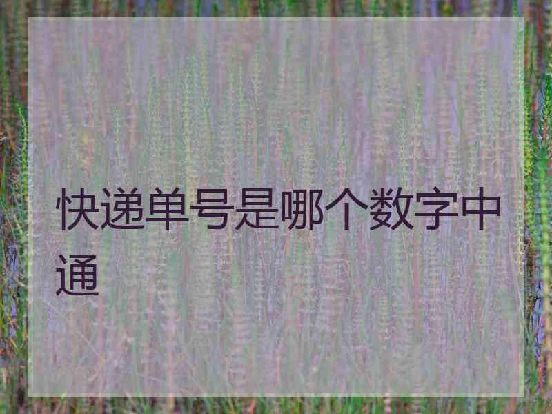 快递单号是哪个数字中通