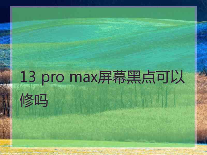 13 pro max屏幕黑点可以修吗