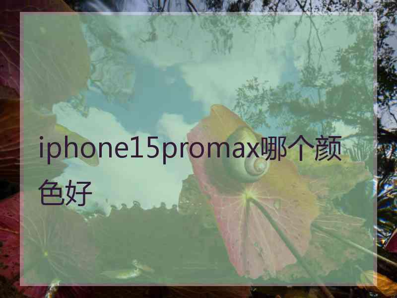 iphone15promax哪个颜色好