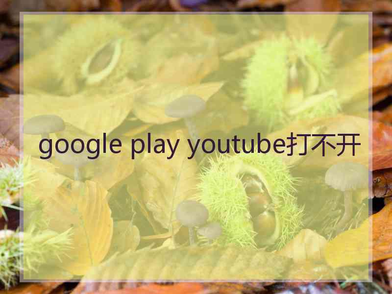 google play youtube打不开