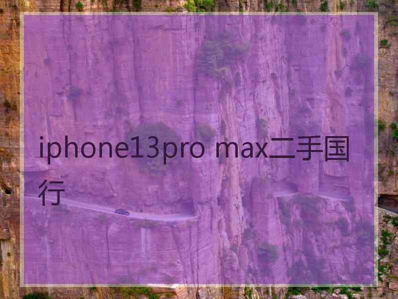 iphone13pro max二手国行