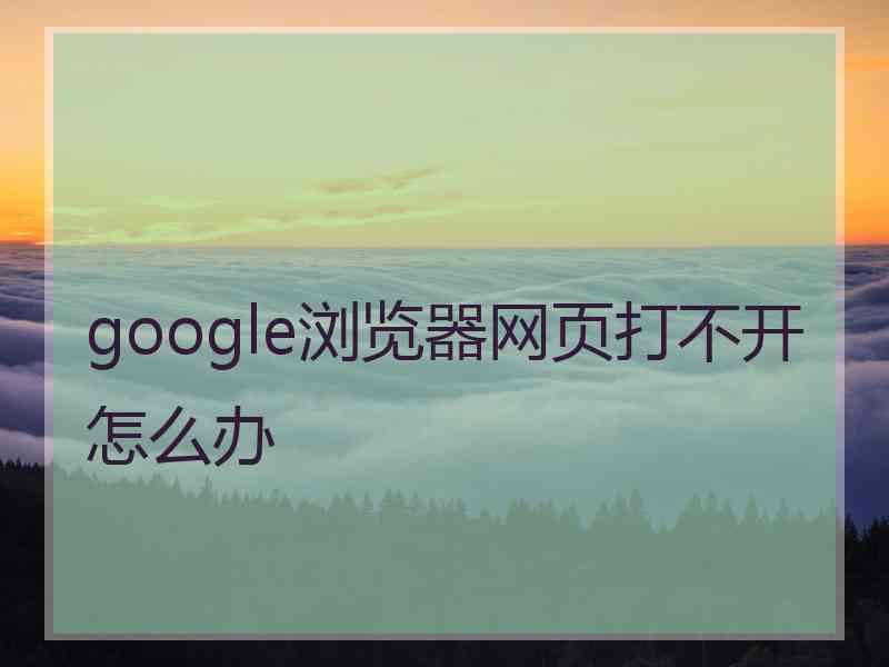 google浏览器网页打不开怎么办