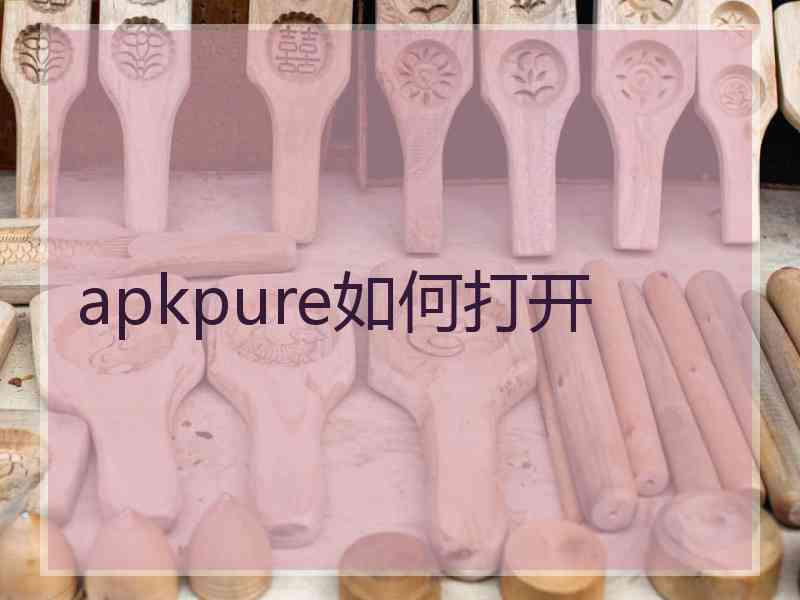 apkpure如何打开