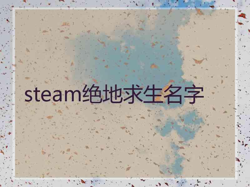 steam绝地求生名字