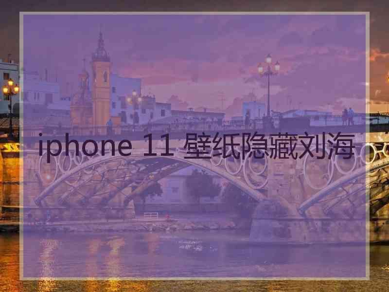 iphone 11 壁纸隐藏刘海