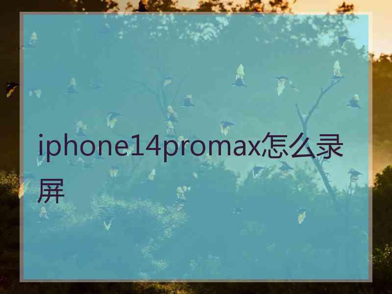 iphone14promax怎么录屏