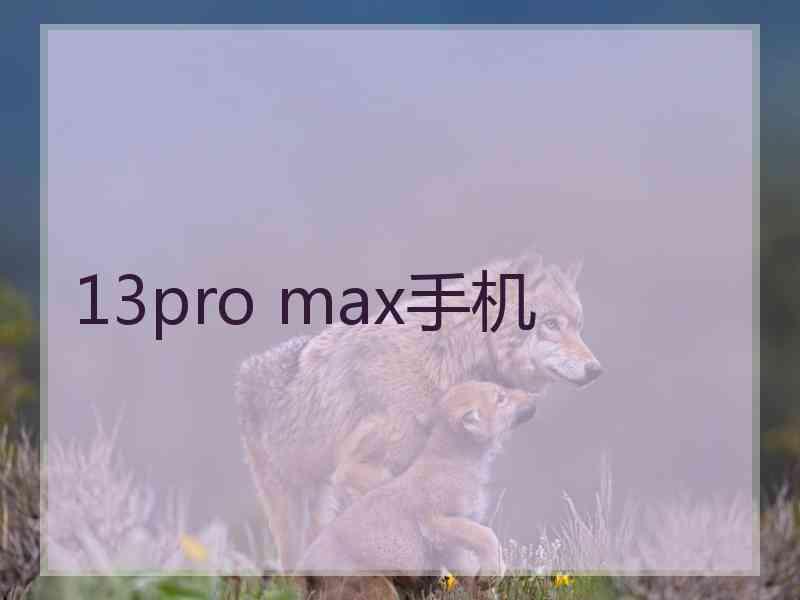 13pro max手机