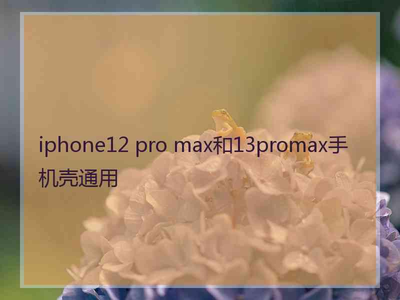 iphone12 pro max和13promax手机壳通用