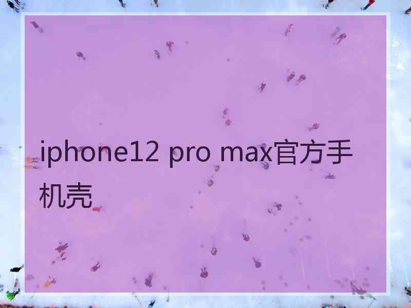 iphone12 pro max官方手机壳