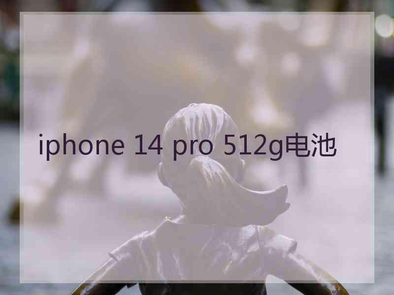 iphone 14 pro 512g电池