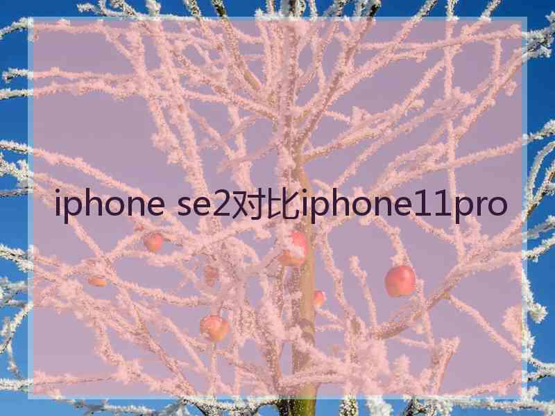 iphone se2对比iphone11pro