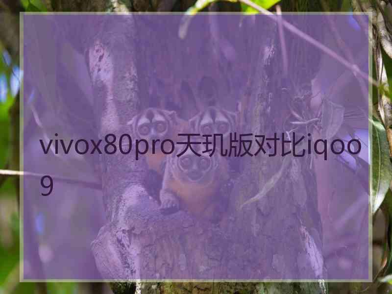 vivox80pro天玑版对比iqoo9